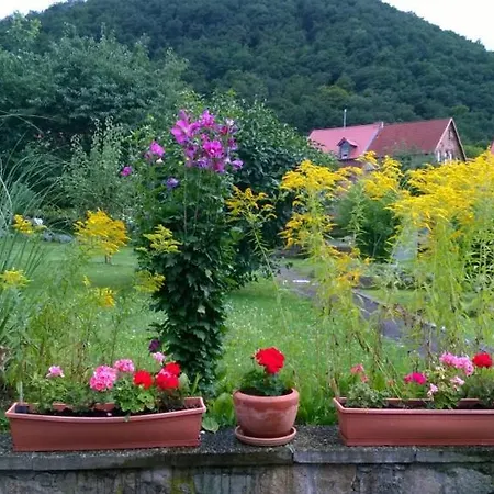 Bergblick - Inklusive Bodetal Therme *