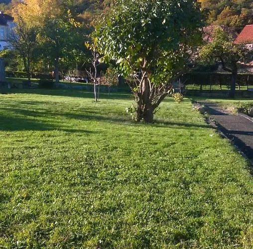Apartmán Bergblick - Inklusive Bodetal Therme *
