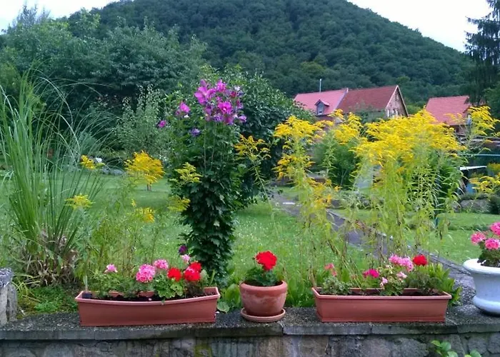 Bergblick - Inklusive Bodetal Therme *
